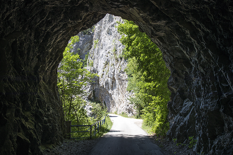 Odmor za dušu, telo i mozak: pejzažna fotografija